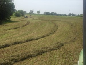 906612_10152495430718965_4466429368840498993_o